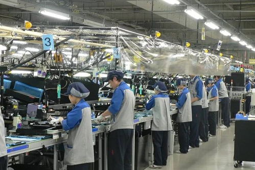 月薪過萬仍遇冷，兩大行業面臨“斷代”危機——90后大學生就業觀之變