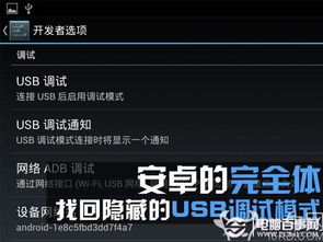 USB調試不見了怎么辦？電腦圖文設計找回隱藏的USB調試模式指南